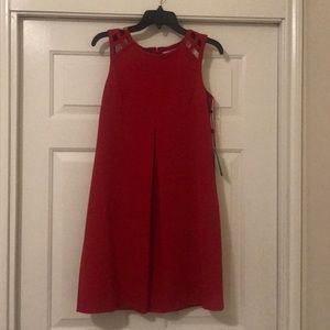 Red Adrianna Papell Dress